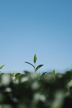 Workshop: Live Sustainably... Build the Future