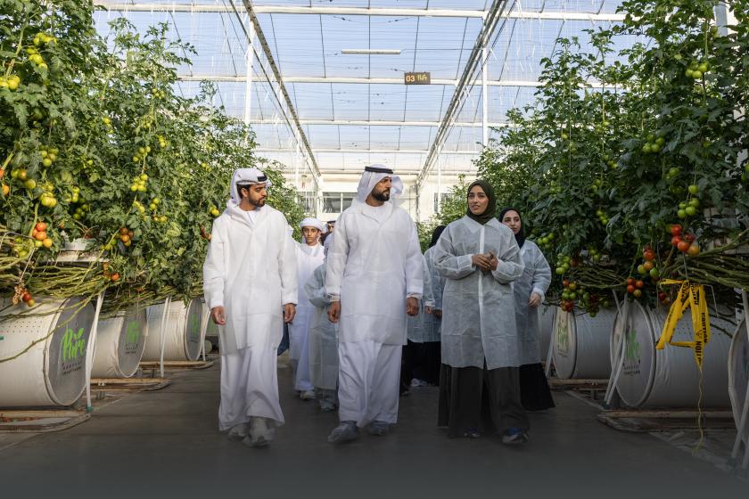 إطلاق مبادرة «سفراء الزراعة» لتمكين الشباب وتعزيز الأمن الغذائي